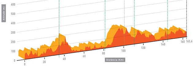 Stage 1 profile